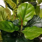 ADELIA ARTIFICIAL FIDDLE LEAF POTTED PLANT 10' ArtiPlanto