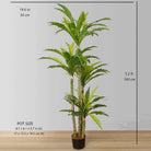 ALBA ARTIFICIAL BIRD NEST FERN POTTED PLANT 5.2' ArtiPlanto