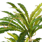 ALBA ARTIFICIAL BIRD NEST FERN POTTED PLANT 5.2' ArtiPlanto