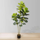 ALVA Artificial Fiddle Leaf Potted Plant (Multiple Sizes) ArtiPlanto