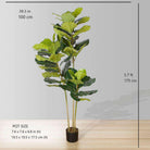 ALVA Artificial Fiddle Leaf Potted Plant (Multiple Sizes) ArtiPlanto