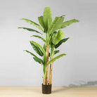 ANNA Artificial Banana Tree Potted Plant (Multiple Sizes) ArtiPlanto
