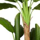 ANNA Artificial Banana Tree Potted Plant (Multiple Sizes) ArtiPlanto