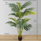 ARLO ARTIFICIAL HAWAII KWAI PALM TREE POTTED PLANT (Multiple Sizes) ArtiPlanto