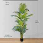 ARLO ARTIFICIAL HAWAII KWAI PALM TREE POTTED PLANT (Multiple Sizes) ArtiPlanto