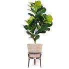 AYO - Boho Floor Planter On Wooden Stand ArtiPlanto