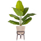 AYO - Boho Floor Planter On Wooden Stand ArtiPlanto