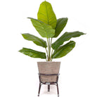 AYU - Boho Floor Planter On Wooden Stand ArtiPlanto