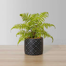BALI POTTED FAUX FERN ArtiPlanto