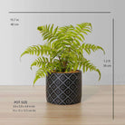 BALI POTTED FAUX FERN ArtiPlanto