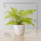 BERA POTTED FAUX FERN ArtiPlanto