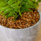 BERA POTTED FAUX FERN ArtiPlanto
