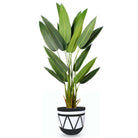 BORA CEMENT PLANTER (multiple sizes) ArtiPlanto