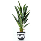BORA CEMENT PLANTER (multiple sizes) ArtiPlanto