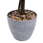 BRISTOL Faux Potted Boxwood Topiary Plant 26'' ArtiPlanto