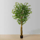 Bea Artificial Ficus Potted Plant 6.5 ArtiPlanto