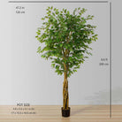 Bea Artificial Ficus Potted Plant 6.5 ArtiPlanto