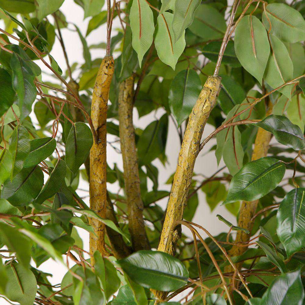 Bea Artificial Ficus Potted Plant 6.5 ArtiPlanto