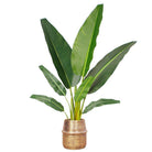 Bonita -Rattan Brass Finish Planter ArtiPlanto