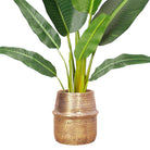 Bonita -Rattan Brass Finish Planter ArtiPlanto
