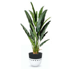 CAIRO CEMENT PLANTER (multiple sizes) ArtiPlanto