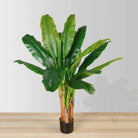 CALI ARTIFICIAL BANANA TREE POTTED PLANT 43'' ArtiPlanto