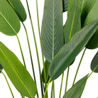 CANA ARTIFICIAL CANNA POTTED PLANT (MULTIPLE SIZES) ArtiPlanto