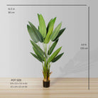 CANA ARTIFICIAL CANNA POTTED PLANT (MULTIPLE SIZES) ArtiPlanto