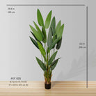 CANA ARTIFICIAL CANNA POTTED PLANT (MULTIPLE SIZES) ArtiPlanto