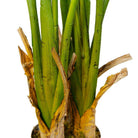 CANA ARTIFICIAL CANNA POTTED PLANT (MULTIPLE SIZES) ArtiPlanto