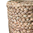 CECE - Water Hyacinth Planter ArtiPlanto