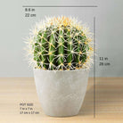 COCO Artificial Cactus Potted Plant 11" ArtiPlanto