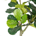 CORA Artificial Fiddle Leaf Potted Plant 5.5' ArtiPlanto