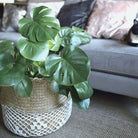 COSTA - Seagrass Basket With White Net Pattern ArtiPlanto