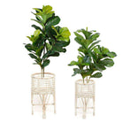 Cardo Rattan Planter (Multiple Sizes) ArtiPlanto