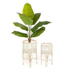 Cardo Rattan Planter (Multiple Sizes) ArtiPlanto