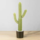 DADO Artificial Cactus Potted Plant 2' ArtiPlanto