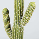 DADO Artificial Cactus Potted Plant 2' ArtiPlanto