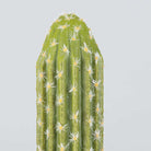 DADO Artificial Cactus Potted Plant 2' ArtiPlanto