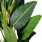DAMA ARTIFICIAL BIRD OF PARADISE POTTED PLANT 10' ArtiPlanto