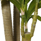 DANA Artificial Draecena Tree Potted Plant (Multiple Sizes) ArtiPlanto