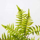 DASA POTTED FAUX FERN ArtiPlanto