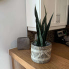 DEZI Artificial Snake Sansevieria Dark Green Potted Plant 21'' ArtiPlanto