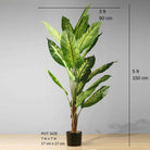 DIRA Artificial Evergreen Potted Plant (MULTIPLE SIZES) ArtiPlanto