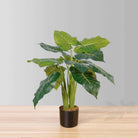 DORA ARTIFICIAL ALOCASIA POTTED PLANT 28'' ArtiPlanto