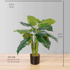 DORA ARTIFICIAL ALOCASIA POTTED PLANT 28'' ArtiPlanto