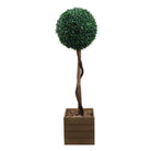 ELY Faux Potted Boxwood Topiary Plant 3' ArtiPlanto
