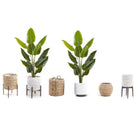 ELZA ARTIFICIAL BIRD OF PARADISE POTTED PLANT (Multiple Sizes) ArtiPlanto