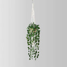Elrey Faux Potted Macrame Hanging Plant (4.7 Feet) ArtiPlanto