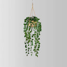 Ennio Faux Potted Hanging Plant (3.9 Feet) ArtiPlanto